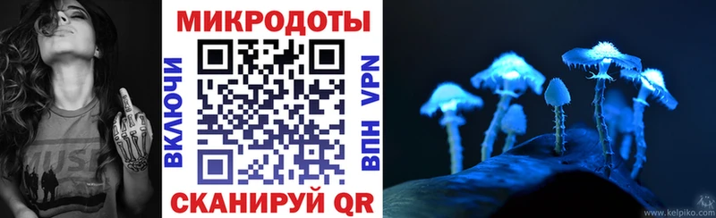 где купить   Курск  Галлюциногенные грибы мицелий 