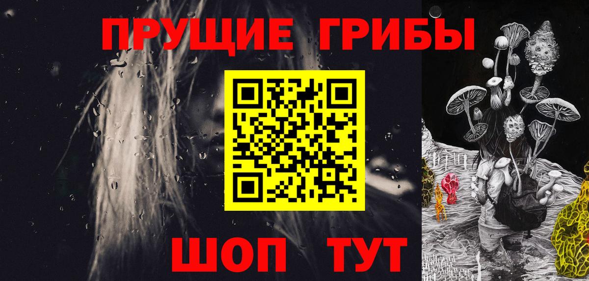 Галлюциногенные грибы Psilocybe Курск